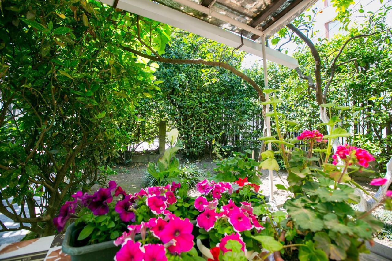 Guest House Lavr Gagry Zewnętrze zdjęcie