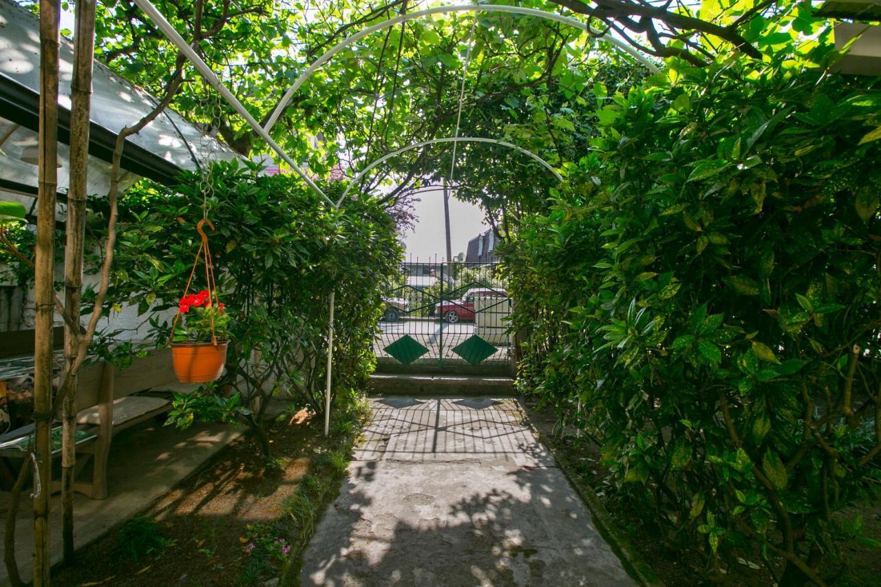 Guest House Lavr Gagry Zewnętrze zdjęcie